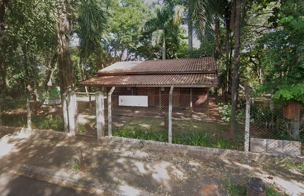 Imagem do Clube da Árvore